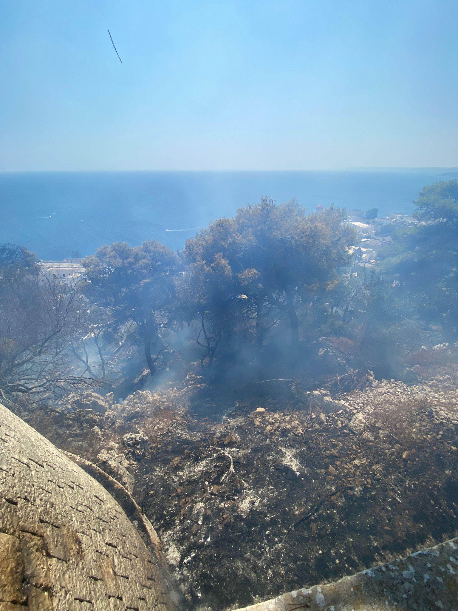 Incendio a Santa Cesarea Terme, Amministrazione Comunale in prima linea: “Sembrerebbe doloso”