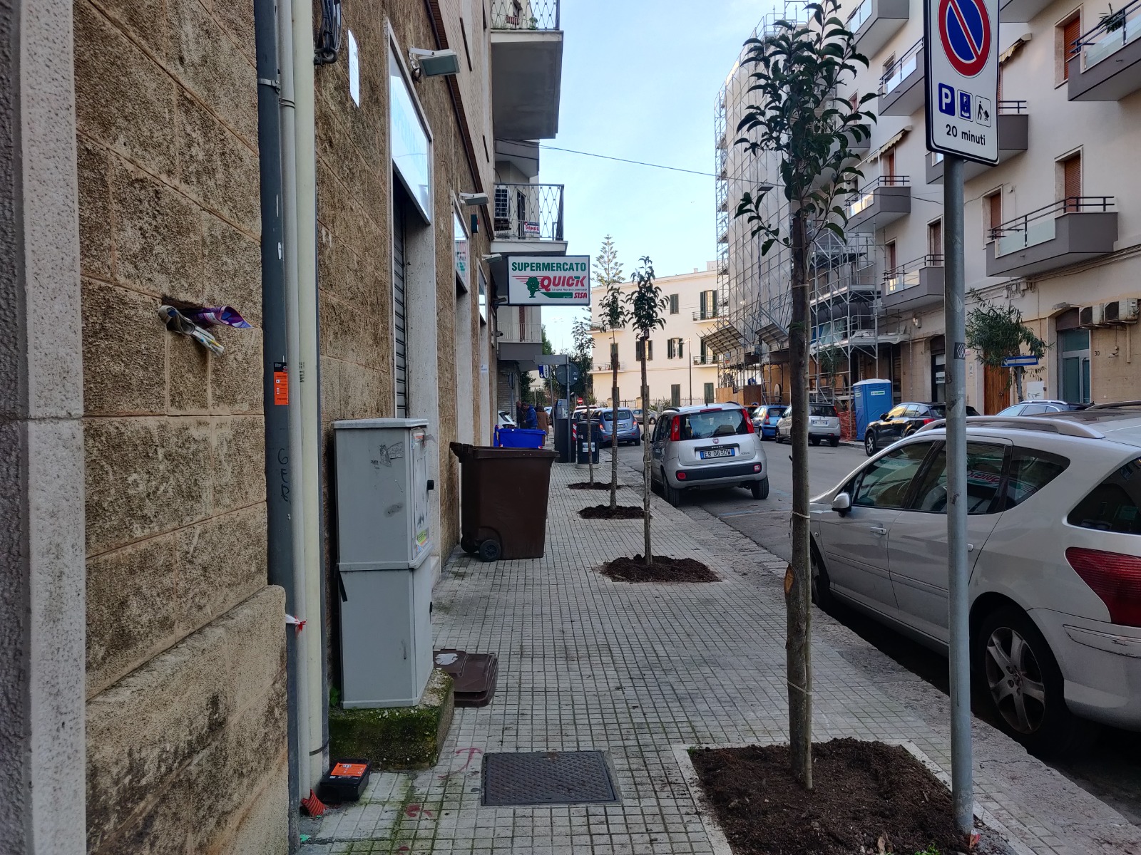 Ventiquattro nuovi alberi in città grazie al progetto “Alberiamo” di Lecce Città Pubblica