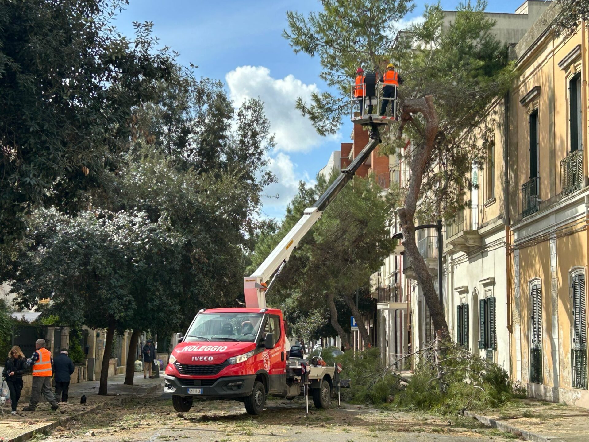 Via al piano di messa in sicurezza delle alberature di San Lazzaro