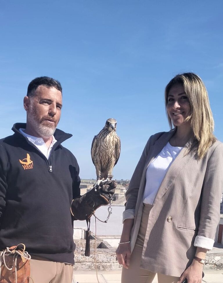 A Novoli parte il servizio falconeria per allontanare i volatili in maniera naturale