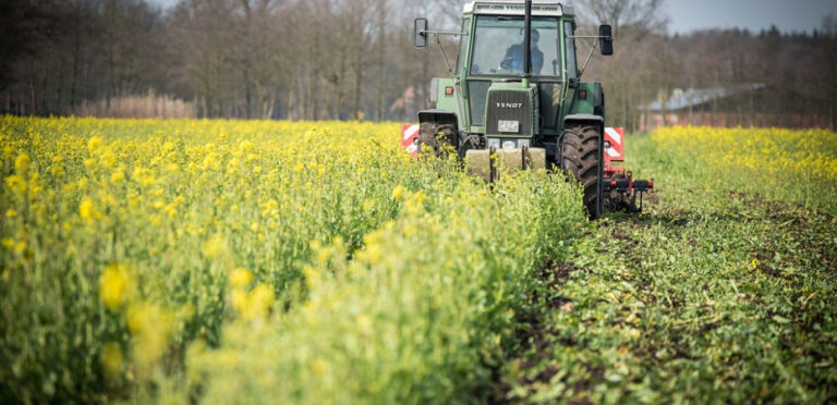 Lotta Contadina: Coldiretti Puglia, esercito di piccoli agricoltori in Puglia, ma discriminati da politiche di sviluppo rurale