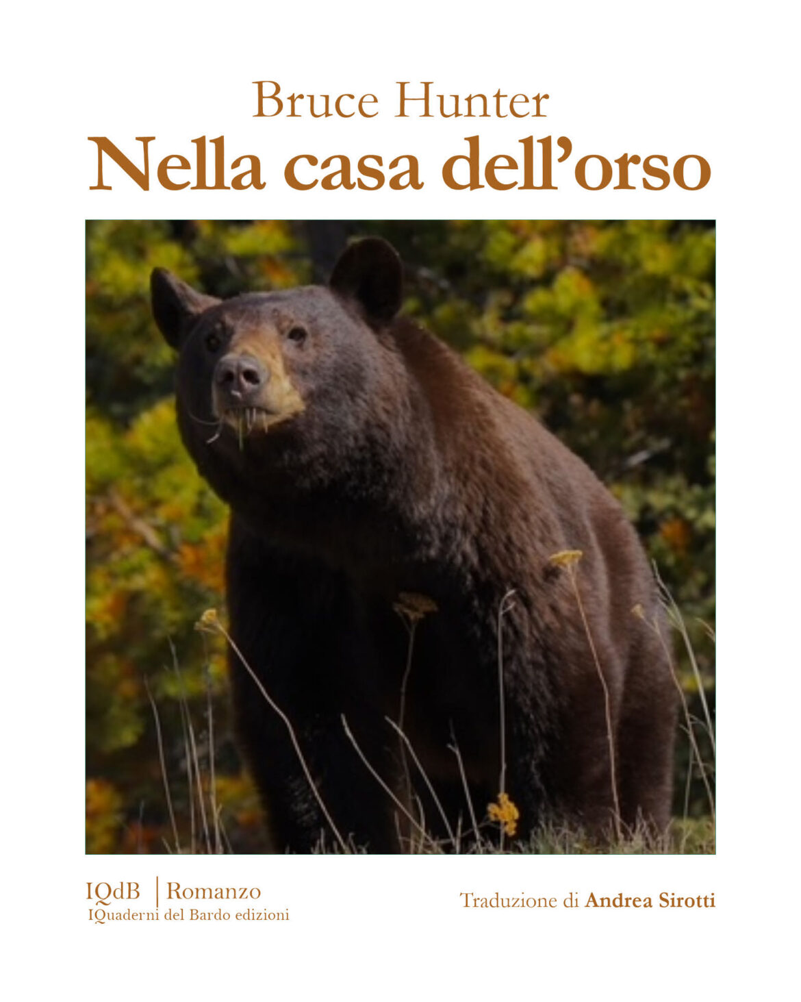 Per la prima volta tradotto in Italia il romanzo dello scrittore canadese Bruce Hunter dal titolo nella Casa dell’Orso