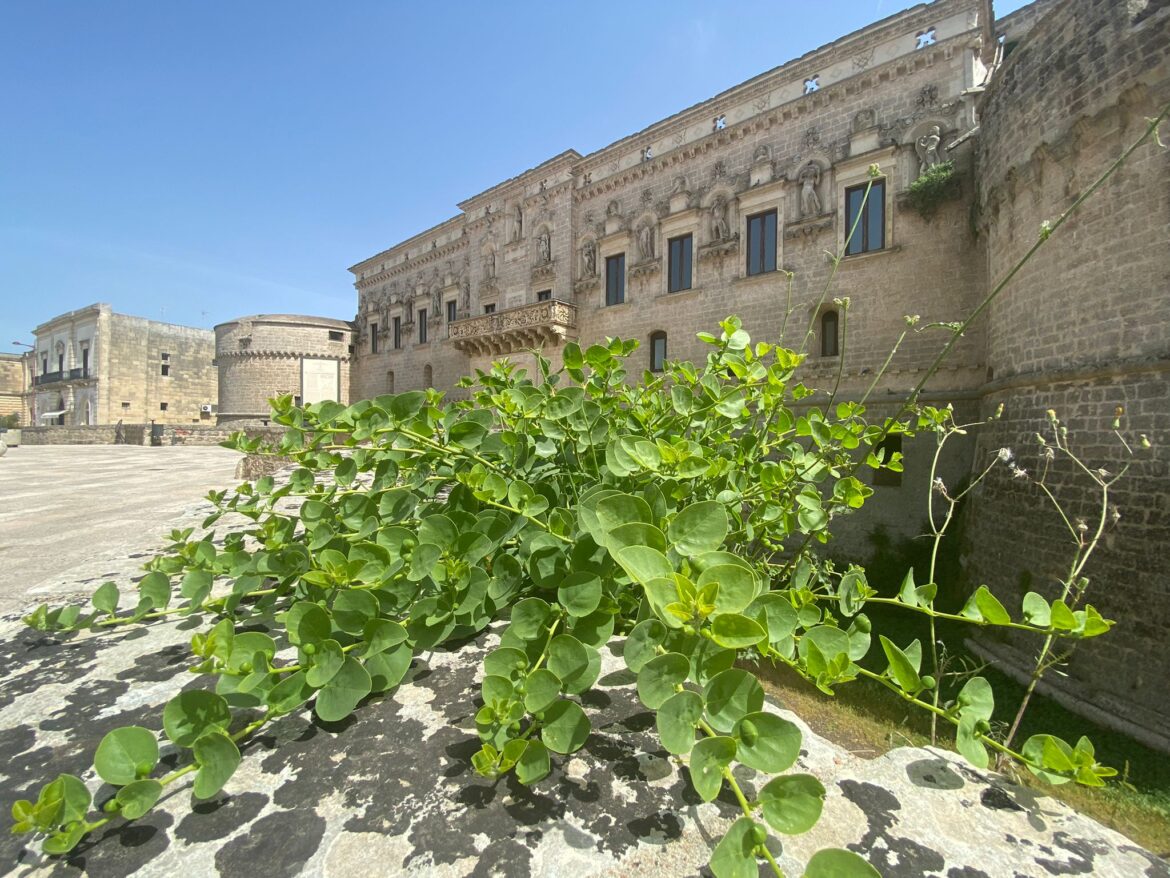 CORIGLIANO D’OTRANTO | Vari appuntamenti