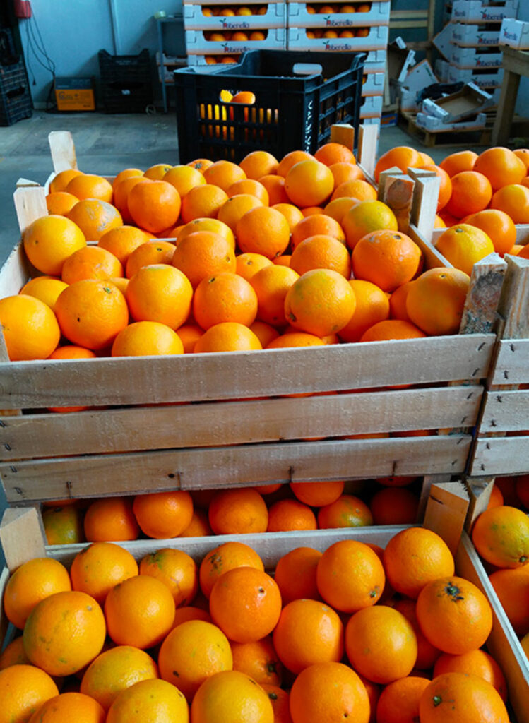 Consumi, scorta di Vitamina C nei mercati contadini in Puglia anche contro i malanni di stagione