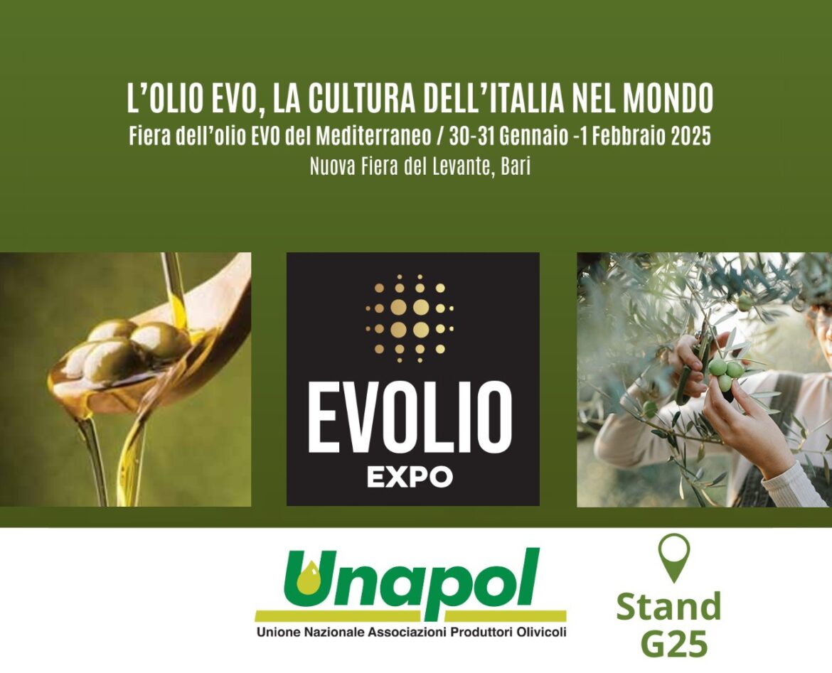 Evolio Expo